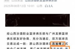 lol全球总决赛-新星崭露头角，职业篮球联赛掀起一股新浪潮