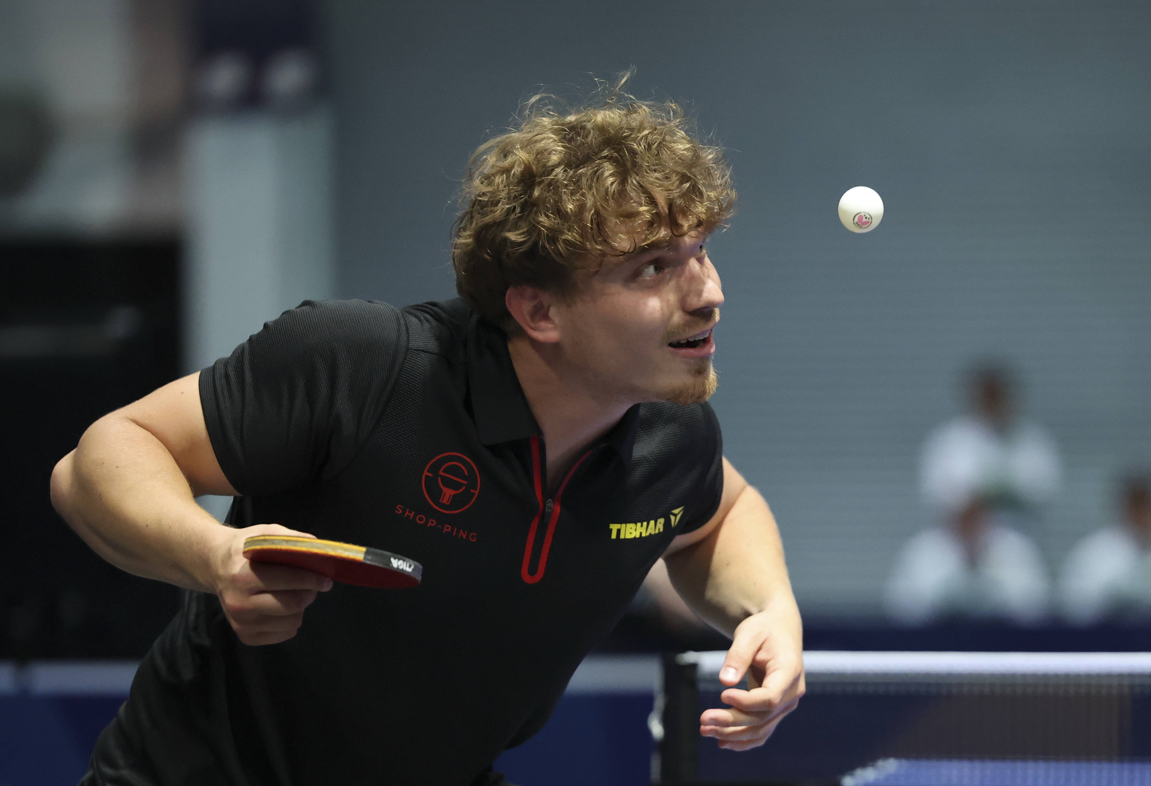 关于比利时乒乓球队翻盘德国乒乓球队，奥恰洛夫统治全场的信息